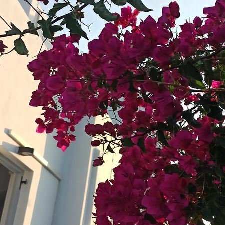 Isalos Paros Nausa Zewnętrze zdjęcie